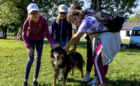Séjour été 2025 Vertaco des bois