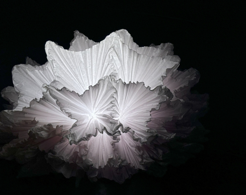 Blanc(s) - Cie l'Esprit de la Forge