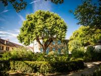 Maison Bernardin de Saint-Pierre